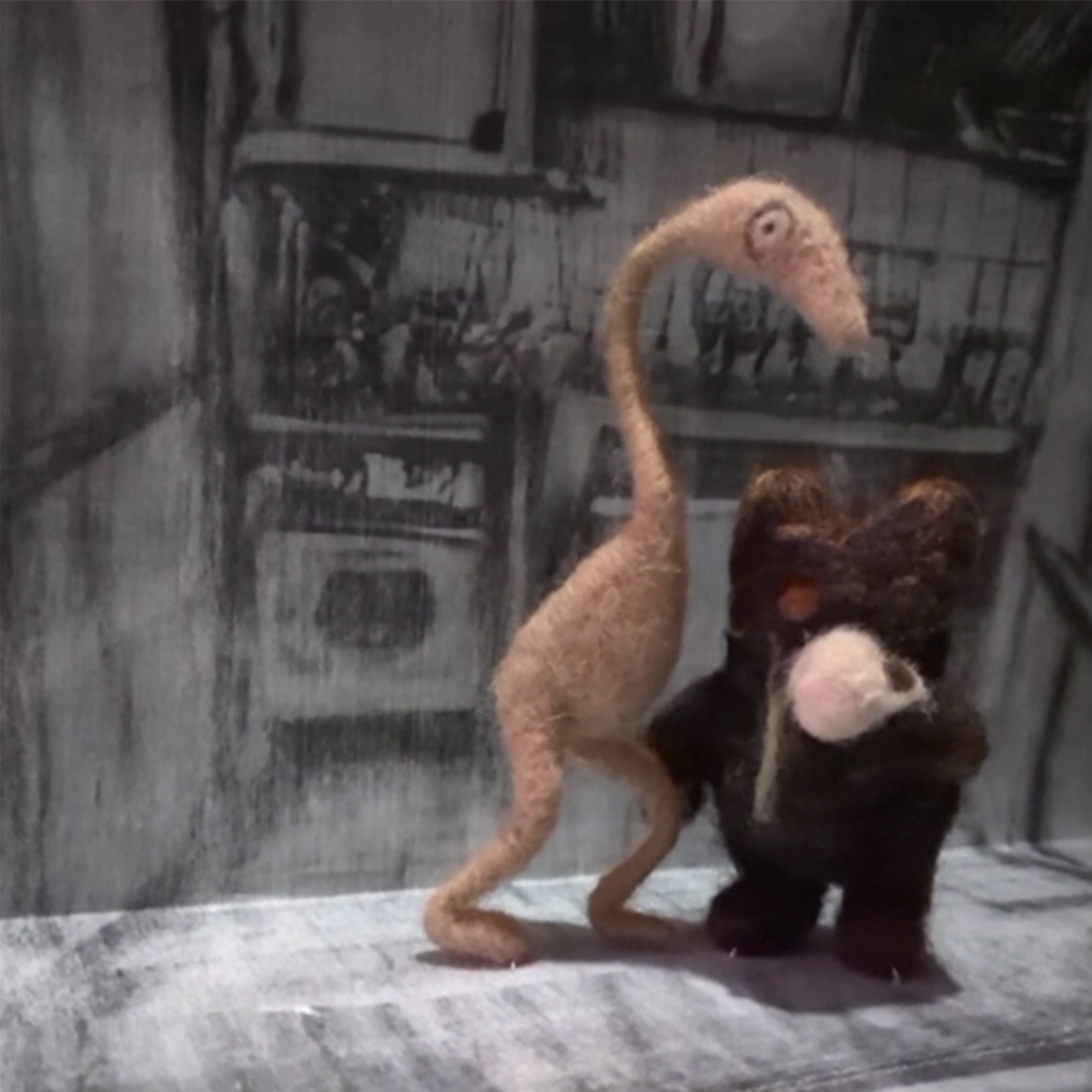 Thumbnail for Bird and Bear video